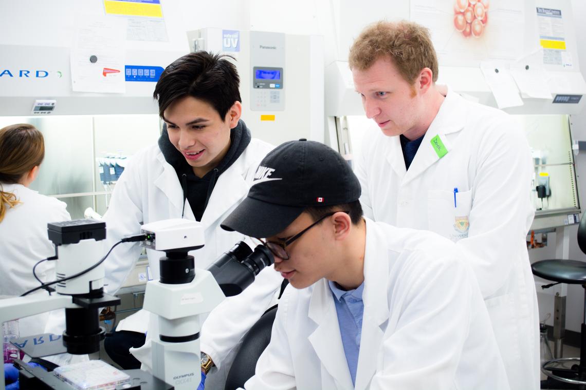 Dawson Yellowknee, left, and Daylin Deitz are  mentored by postdoctoral fellow Derek Toms in learning microtissue engineering.