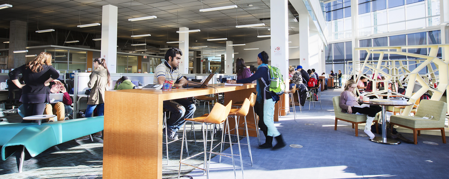 Student sitting in library